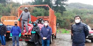 Agricultores donan más de 8 toneladas de papas para ollas comunes de la Región del Biobío