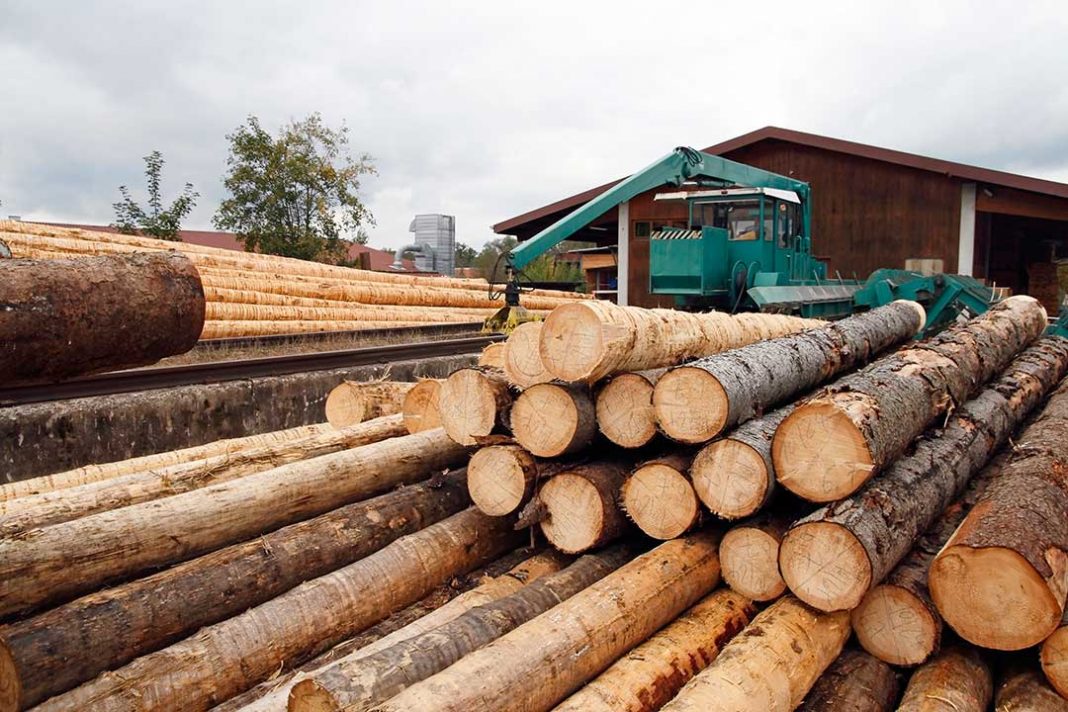 ASCC Industria de la madera del Maule