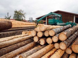 ASCC Industria de la madera del Maule