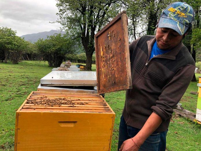 seguros del agro