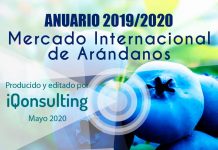 Mercado Internacional Arándanos