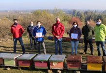 apicultores afectados por la crisis hídrica