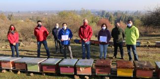 apicultores afectados por la crisis hídrica