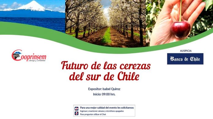 Cerezas del sur de Chile
