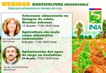 Horticultura Sustentable