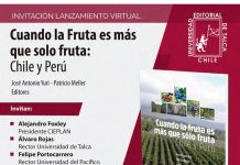 Lanzamiento Libro: «Cuando la fruta es más que solo fruta: Chile y Perú»