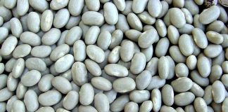Consumo de legumbres en Chile