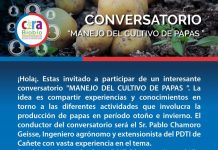 “Manejo del cultivo de papas”