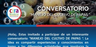 “Manejo del cultivo de papas”