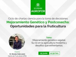 Ciclo de charlas Mejoramiento Genético y Postcosecha: oportunidades para la fruticultura - UFRO Temuco