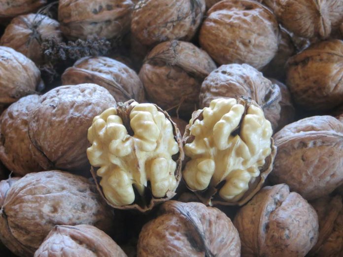 nueces
