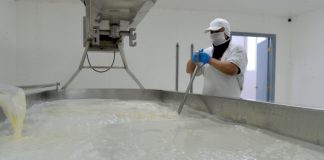 Recepción de leche anota crecimiento de 4,3% en Los Lagos