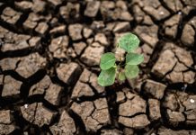 Sequía: la crisis que nos ataca en silencio