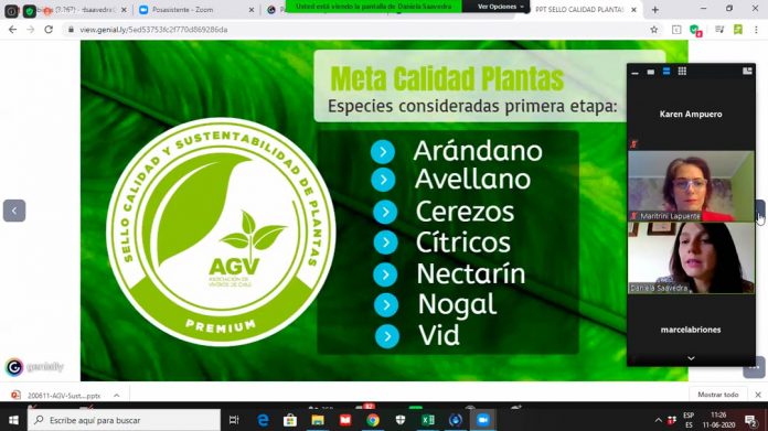 Viveristas chilenos