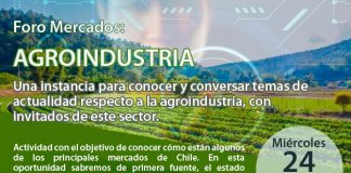 Webinar AIE. Foro Mercados Agroindustria