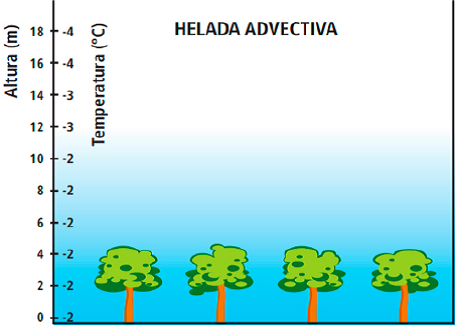 Helada Advectiva o polar. Helada de ADVECCIÓN