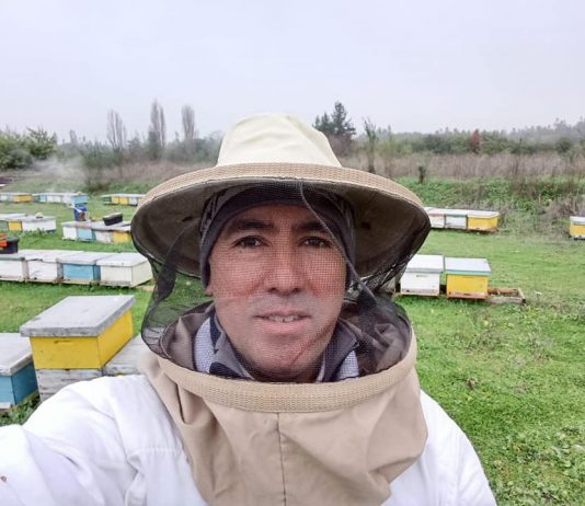 INDAP Y AGROSEGUROS entregaron indemnizaciones por más de $34 millones a apicultores afectados por la sequía en Ñuble Apicultores
