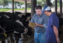 Experta de Agronomía UdeC explicará principales controles en la cadena productiva de productos de origen animal