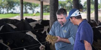 Experta de Agronomía UdeC explicará principales controles en la cadena productiva de productos de origen animal
