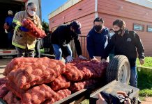 comedores solidarios de Arauco