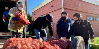 comedores solidarios de Arauco