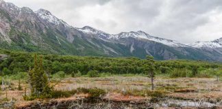 INIA Tamel Aike realiza capacitación sobre normativa vigente y prácticas sustentables en la cosecha del musgo Sphagnum magellanicum para la macrozona -austral.