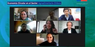 Economía Circular, la tendencia que llega al Sector Agroalimentario Chileno
