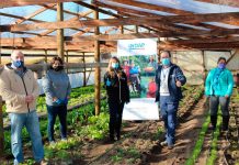 hortalizas agroecológicas