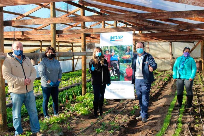 hortalizas agroecológicas