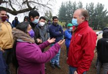 Ministro Walker encabezó entrega de forraje para dos mil agricultores de Alto Biobío afectados por las heladas y nevazones