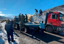 Gobierno confirma entrega de forraje para agricultores de Alto Biobío