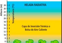 helada radiativa de RADIACION