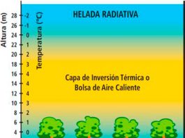 helada radiativa de RADIACION