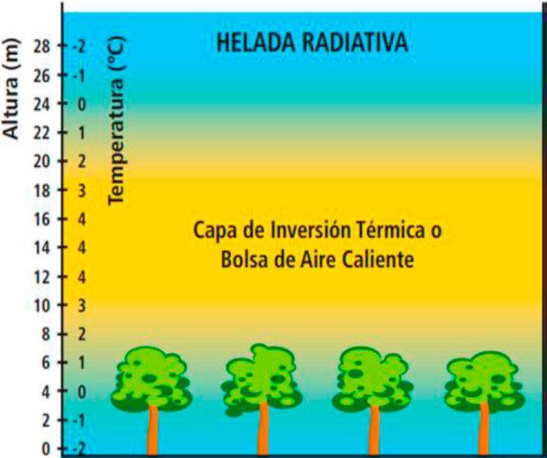 helada radiativa de RADIACION