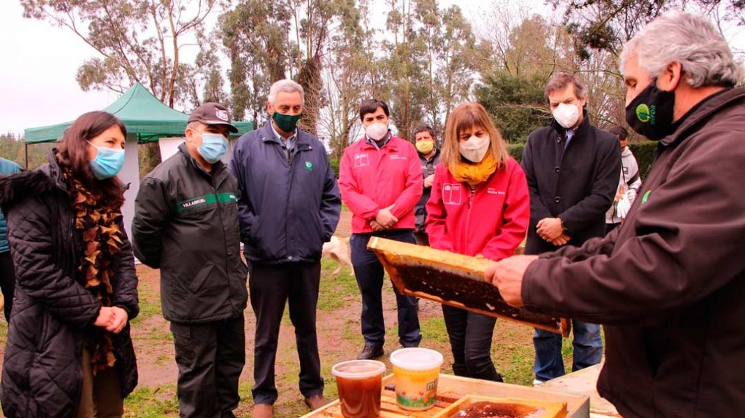 Iniciativa pionera en Biobío capacitará en sector apícola a internos de CET Punta de Parra