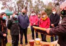 Iniciativa pionera en Biobío capacitará en sector apícola a internos de CET Punta de Parra