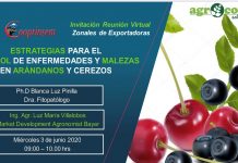 Jornada Estrategias para el control en enfermedades y malezas en arándanos y cerezos / Cooprinsem-Bayer