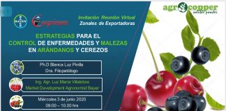 Jornada Estrategias para el control en enfermedades y malezas en arándanos y cerezos / Cooprinsem-Bayer