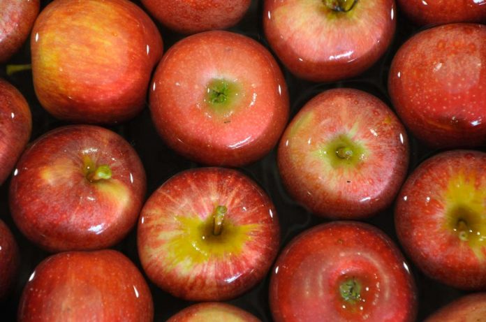 SAG inicia segundo periodo de postulación de exportadoras de productos hortofrutícolas a Federación Rusa