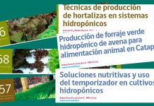 cultivos hidropónicos INIA