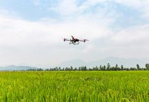 Cómo la tecnología en el agro ayuda a los pequeños pequeños agricultores a ser competitivos