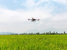 Cómo la tecnología en el agro ayuda a los pequeños pequeños agricultores a ser competitivos