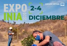 Expo INIA 2020 anticipa su programación de charlas abiertas y mesas técnicas sectoriales