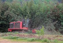 Máquina trituradora de material vegetal