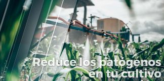 Reduce los patógenos en tu cultivo con la Aspersión