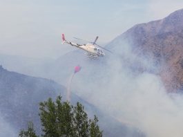 Alerta temprana preventiva en la Región Metropolitana | Incendios Forestales