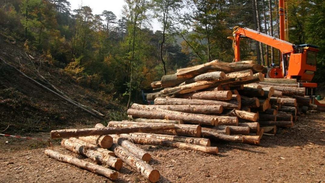 Cinco recomendaciones de Shell Lubricantes para optimizar el rendimiento de los equipos forestales