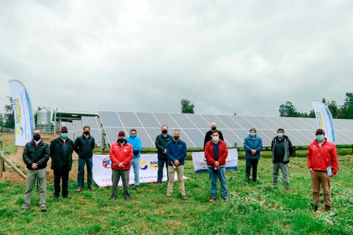 Enerpa y Cooprinsem inauguraron planta solar fotovoltaica más grande de la región de Los Lagos
