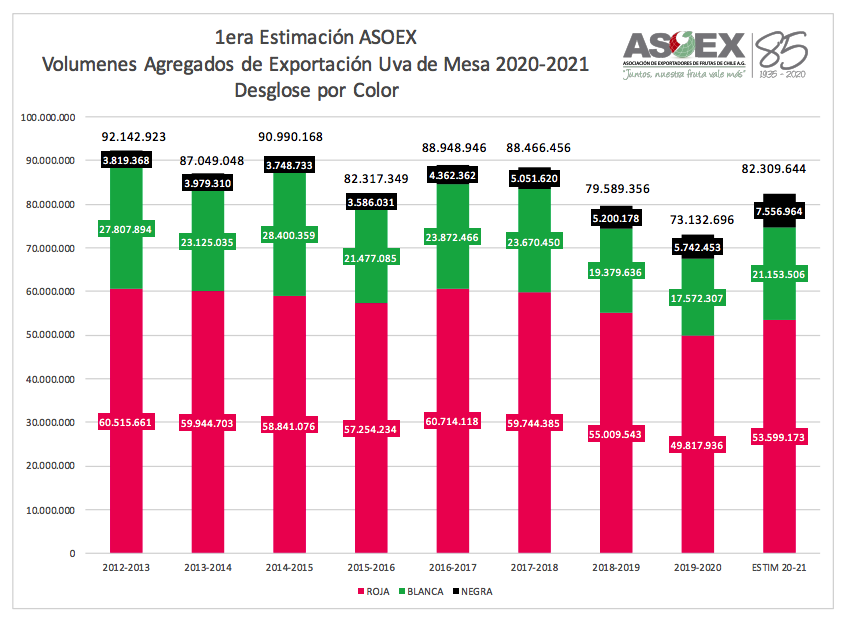 Estimación de ASOEX: “Exportaciones de uvas de mesa de Chile crecerán casi 13% esta temporada 2020-2021”
