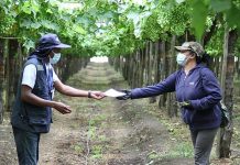 Guía de Autocuidado para evitar contagios de COVID-19 en trabajos agrícolas de temporada